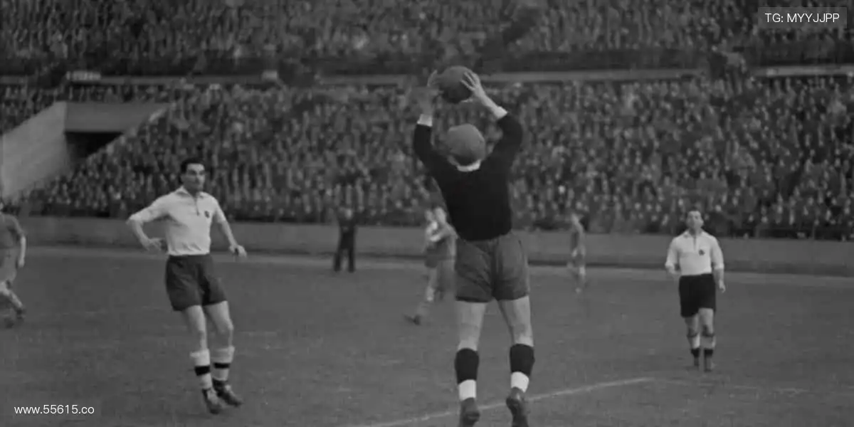 🎥多机位视角，沉浸式体验！让你比现场更懂精彩⚡️